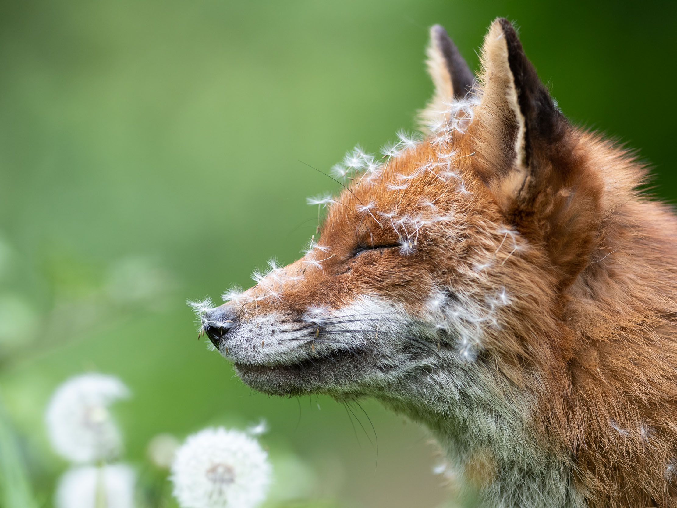 Wildlife photography tour